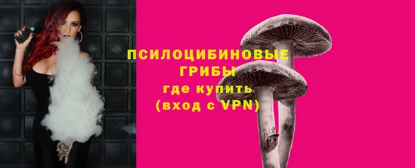 сатива Верхний Тагил
