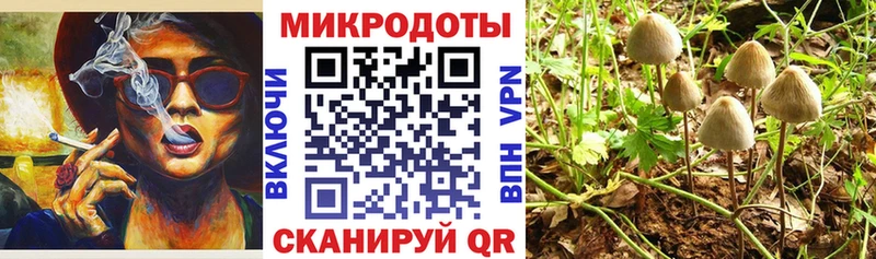 наркотики  Гусиноозёрск  Псилоцибиновые грибы мицелий 